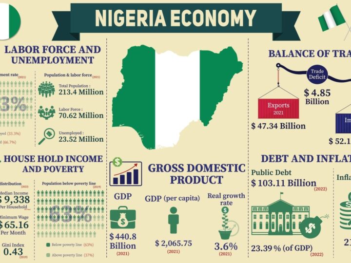₦20 Trillion Is Missing From Nigeria’s Federation Account – Olisa Agbakoba