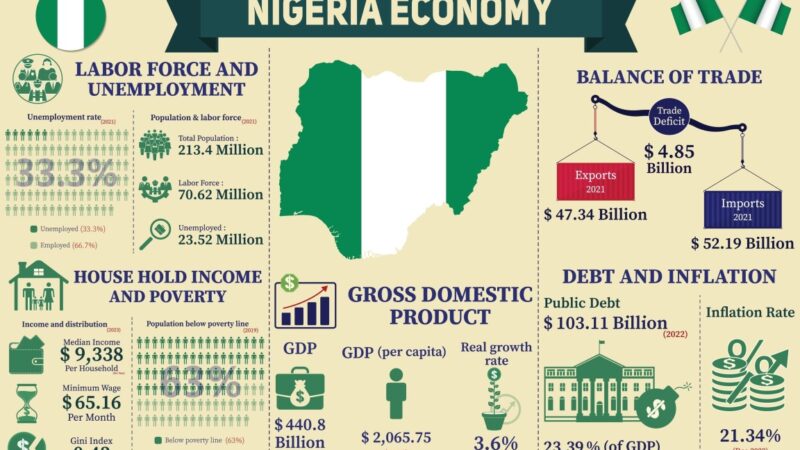 ₦20 Trillion Is Missing From Nigeria’s Federation Account – Olisa Agbakoba